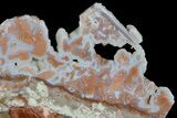 Polished Wyoming Youngite Agate/Jasper Slab - Fluorescent #184766-1